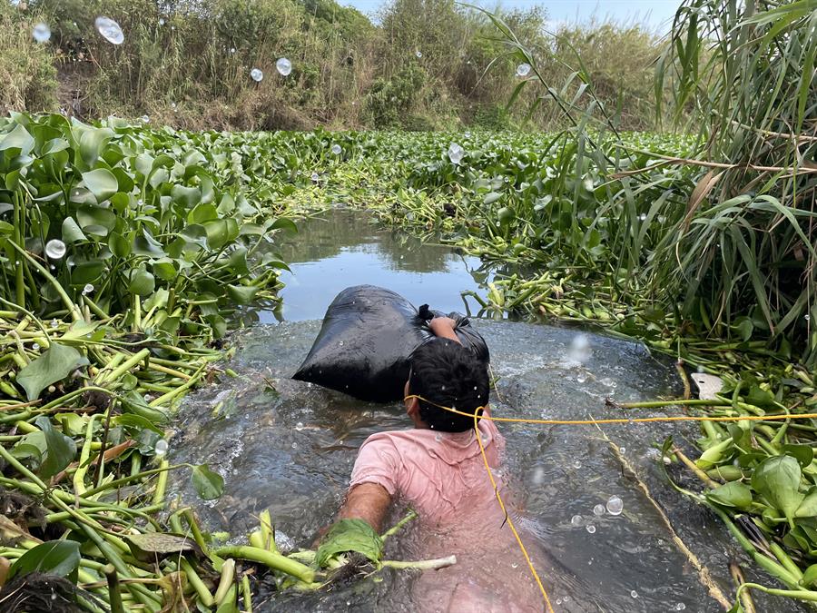 Un grupo de migrantes cruza el r&iacute;o Bravo (2)