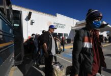 migrantes