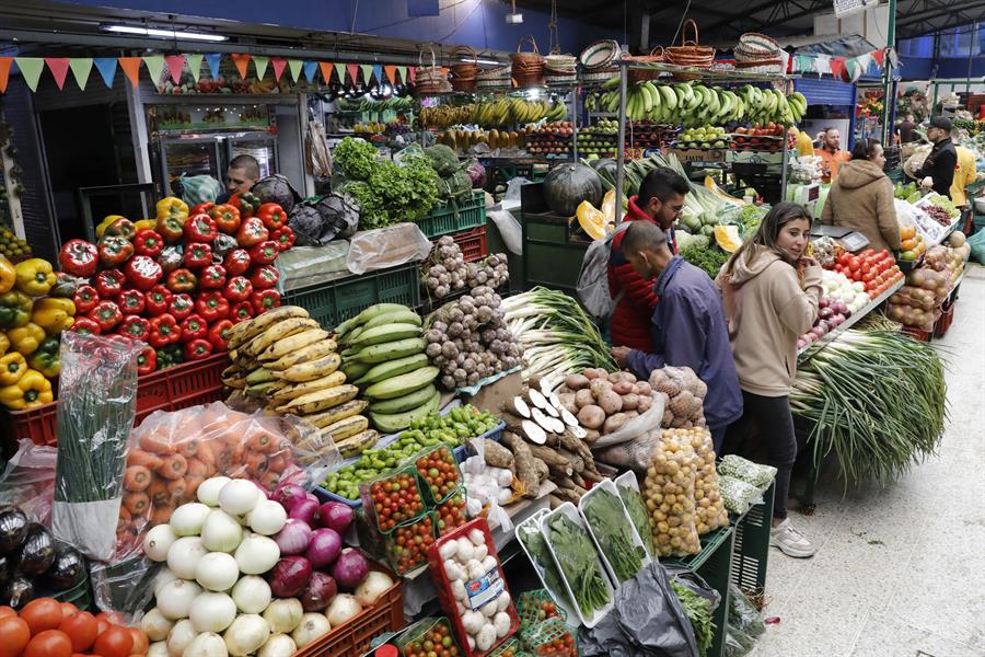 alimentos