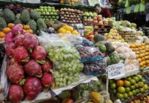 color, olor y sabor que resguardan las tradiciones culturales de América Latina (1)