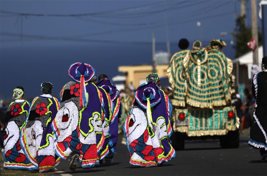 desfile del Festival de Las M&aacute;scaras (2)