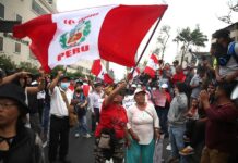 Muere una persona en protestas en el sur de Perú por adelanto de elecciones protestas en el sur de Perú (1)