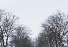 tormenta
