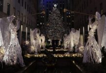 La ciudad de Nueva York comienza desde este viernes a recoger decenas de miles de árboles de navidad que los residentes suelen dejar en las calles y que en los últimos años han supuesto una cantidad media de 50.000 árboles abandonados.