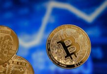 El fundador de Bitzlato será procesado en Nueva York Un juez federal de Miami (EE.UU.) ordenó este viernes que el fundador de la plataforma de intercambio de criptomonedas Bitzlato, Anatoly Legkodymov, detenido esta semana en Miami, sea trasladado a Nueva York para responder en una causa abierta contra él en los tribunales de Brooklyn.