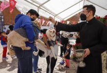 Personas llevan a sus mascotas a bendecir en el marco de los festejos de San Antonio Abad (3)