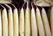 bolsas de leche materna