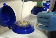 Un fármaco anticonceptivo experimental y probado en ratones reduce de forma rápida y temporal la fertilidad masculina en esos animales, al detener por unas horas la capacidad de movimiento de los espermatozoides.
