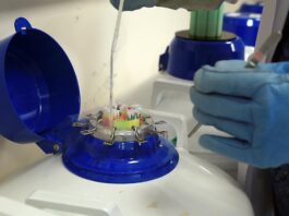 Un fármaco anticonceptivo experimental y probado en ratones reduce de forma rápida y temporal la fertilidad masculina en esos animales, al detener por unas horas la capacidad de movimiento de los espermatozoides.