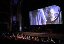 El Palacio de Bellas Artes de México exhibió la película “Estoy todo lo iguana que se puede”, del director mexicano, Julián Robles.
