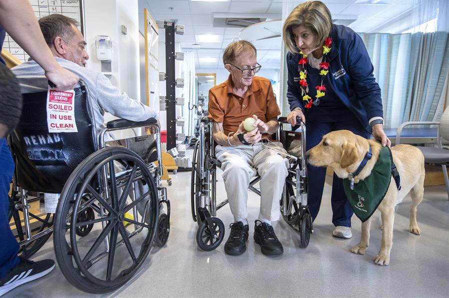 Una perra da afecto a pacientes (4)