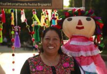 Escuelas intentan preservar las lenguas indígenas de México en las aulas indigena