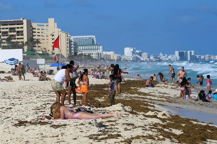 playa invadida por sargazo (1)