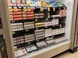 El loco precio de los huevos, un dolor para los hogares estadounidenses precio de los huevos