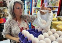 Gripe aviar e inflación empujan a estadounidenses a comprar huevos en México