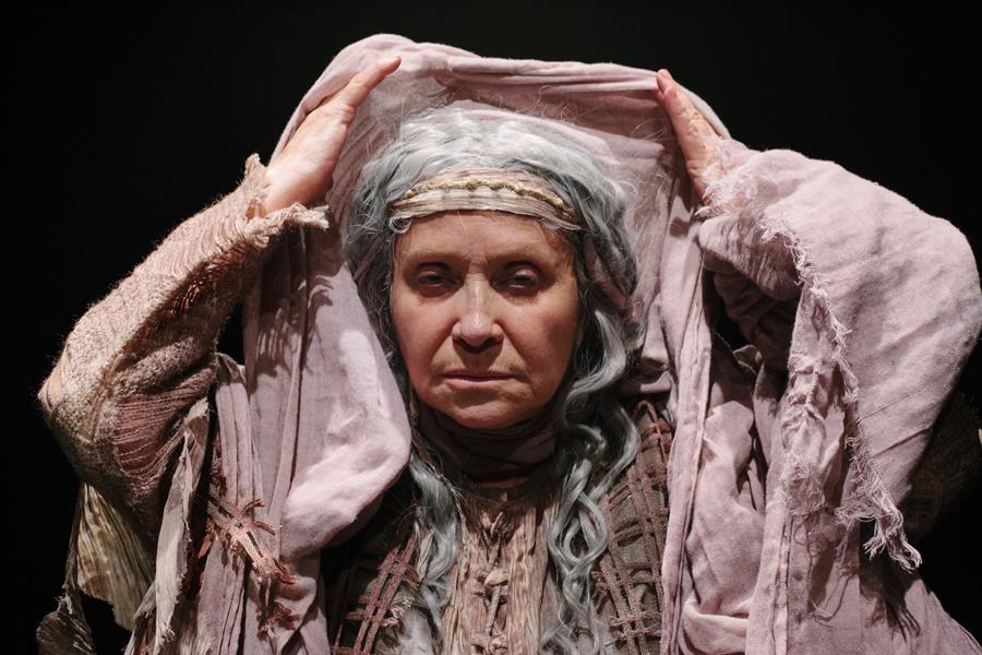 Adriana Barraza