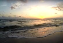 Una enorme floración de algas marinas de cerca de 5.000 millas de ancho (unos 8.000 kilómetros) se desplaza por el Atlántico y podría enfilar hacia la costa del Golfo de México en Florida.