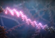 Identifican nuevos genes que pueden aumentar el riesgo de esquizofrenia Un equipo científico ha identificado dos genes hasta ahora desconocidos que podrían aumentar el riesgo de esquizofrenia y un tercero que conlleva riesgo tanto de esquizofrenia como de autismo.