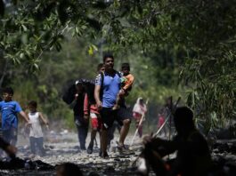 Grupos de personas migrantes caminan en la selva del Darién (4)