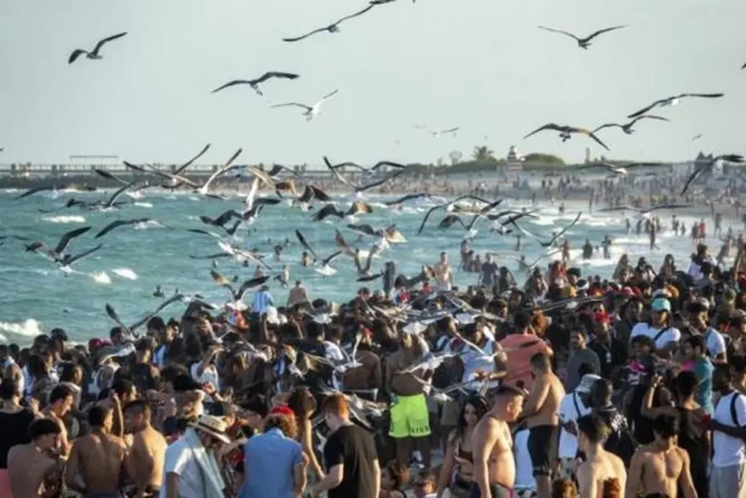 Muchos jóvenes de todo EE.UU. que en estas vacaciones de primavera, el llamado 