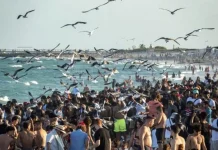 Jóvenes de "spring break" se encuentran con marea roja en playas de Florida Muchos jóvenes de todo EE.UU. que en estas vacaciones de primavera, el llamado "spring break", llegan a las playas de Florida se están encontrando con la presencia de la tóxica marea roja sobre todo en zonas del sur de la costa oeste, informaron este viernes las autoridades.