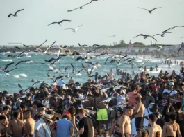 Jóvenes de "spring break" se encuentran con marea roja en playas de Florida Muchos jóvenes de todo EE.UU. que en estas vacaciones de primavera, el llamado "spring break", llegan a las playas de Florida se están encontrando con la presencia de la tóxica marea roja sobre todo en zonas del sur de la costa oeste, informaron este viernes las autoridades.