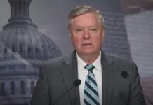 Los republicanos declaran la guerra a los cárteles mexicanos El objetivo de los republicanos estadounidenses de declarar a los cárteles del narcotráfico como grupos terroristas dio este miércoles un paso más en esa dirección con la presentación de un proyecto de ley que aboga por esa designación y por autorizar la actuación del Ejército.