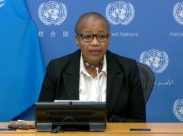 La ONU recibirá a partir del próximo lunes en Nueva York a miles de personas que tomarán parte en las reuniones anuales de la Comisión sobre la Condición de la Mujer, que contará con este año con una participación récord, según aseguró hoy su presidenta, la embajadora sudafricana Mathu Joyini.