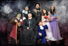 elenco de la obra teatral El último vuelo de Matías Pérez
