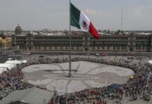 Scouts de México forman inmensa flor de lis para ayudar a Siria y a Turquía flor de lis más grande del mundo, formada con más de un millón de latas de aluminio