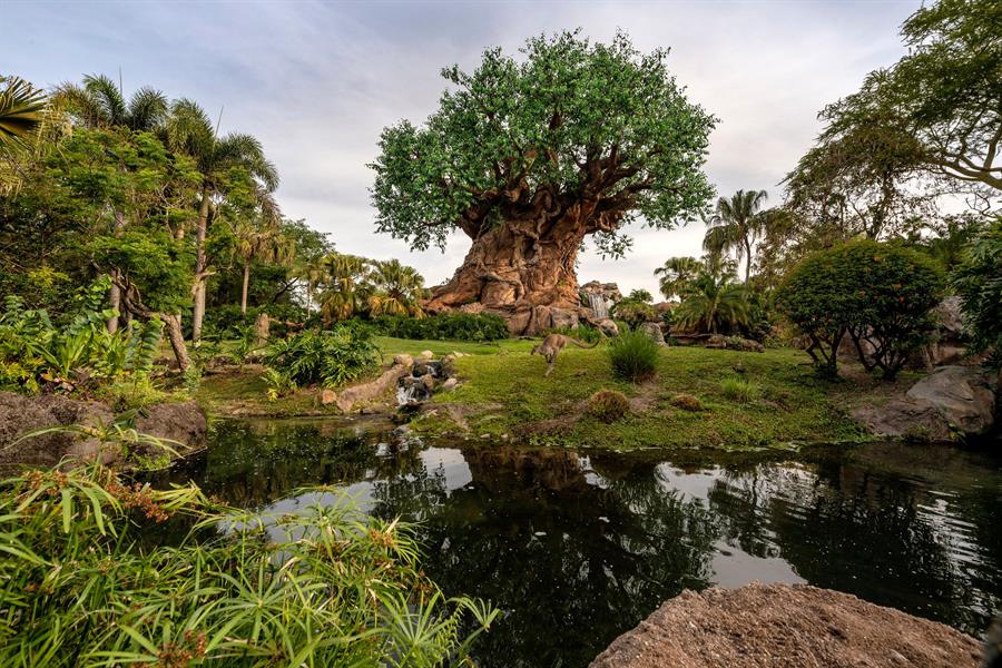 Animal Kingdom, uno de sus parques temáticos en Lake Buena Vista, (3)