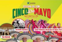 Festival Del Son
