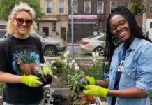 Las guerrillas de Nueva York cumplen 50 años de lucha por los espacios verdes El barrio neoyorquino del Bajo Manhattan era en 1973 una zona deprimida y olvidada donde la basura se amontonaba en solares de edificios derrumbados por los que ninguna constructora apostaba ni un centavo. (Screen de imagen web Green Guerillas).