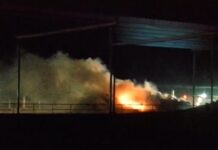 Una explosión y el incendio subsiguiente en una granja en el norte de Texas dejó 18.000 vacas lecheras muertas, siniestro que podría ser el más mortífero para el ganado en Estados Unidos, informó hoy el Animal Welfare Institute (AWI).
