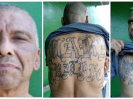 Uno de los principales líderes de la Mara Salvatrucha (MS-13), Wilfredo Ayala Alcántara, fue trasladado este jueves de Texas a Nueva York, donde está acusado, junto a otros doce cabecillas de esa banda, de dirigir las actividades de esa organización criminal en Estados Unidos, El Salvador, México y otros lugares durante las últimas dos décadas, informó la Fiscalía federal.