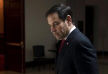 Marco Rubio