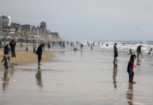 Un padre y su hija mueren ahogados arrastrados por resaca marina en Florida Visitantes disfrutan de la playa pese a las restricciones por la alta contaminación (3)
