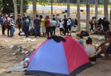 Migrantes