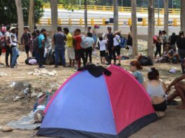 Migrantes