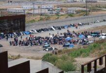 Migrantes