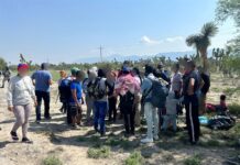Migrantes