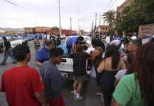 Migrantes