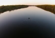 Tres estados del país, California, Arizona y Nevada, lograron este lunes un histórico acuerdo para intentar salvar el río Colorado, aquejado por la sequía, para sacar menos agua de él y evitar problemas de suministro en las principales ciudades de la costa oeste del país que se nutren de él.