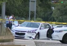 Una madre que viajaba con seis menores en su automóvil SUV resultó muerta a tiros en Miami, Florida, tras una discusión con otro conductor, que le disparó y se dio a la fuga, según informaron las autoridades.