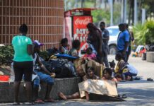 migrantes