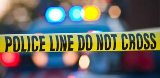 Dos personas fueron arrestadas y al menos otras tres están en búsqueda y captura por el tiroteo originado este lunes en una pelea entre dos grupos en el paseo de una playa de Hollywood, al norte de Miami, Florida, que dejó heridos a cinco adultos y cuatro niños.