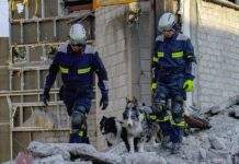 entrenamiento con los perros Orly (i) y Balam
