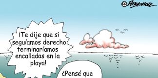 Encalladas en la playa