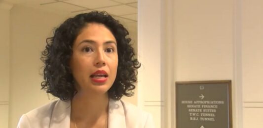 Karla Vargas, abogada de Texas Civil Rights Project.