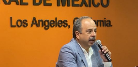 Una caravana partirá de California hacia Florida en apoyo de los inmigrantes indocumentados en peligro por la nueva ley de inmigración de este estado, que es "retrógada", además de "racista", dijo a EFE este miércoles Luis Gutiérrez, director del Instituto de los Mexicanos en el Exterior, una entidad oficial.